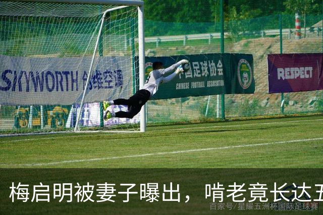 梅启明被妻子曝出，啃老竟长达五十年，还逼17岁儿子停学打工